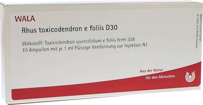 RHUS TOXICODENDRON E foliis D 30 Ampullen