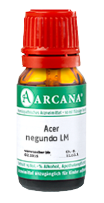 ACER negundo LM 16 Dilution