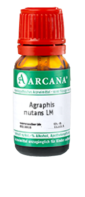 AGRAPHIS NUTANS LM 3 Dilution