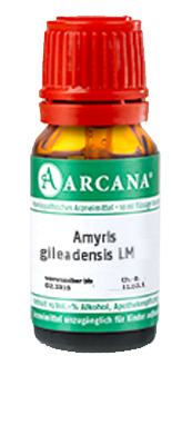 AMYRIS gileadensis LM 12 Dilution