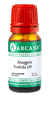 ANAGYRIS foetida LM 4 Dilution